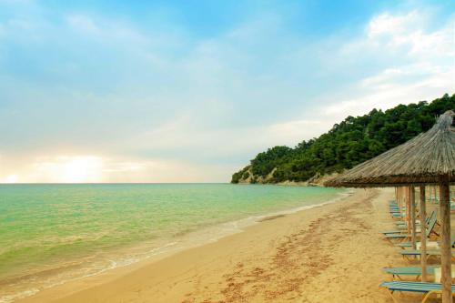 The 4 Travellers Halkidiki