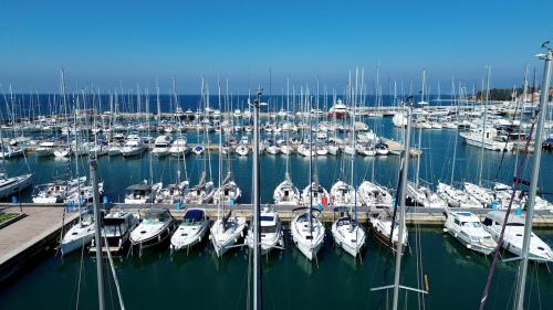 Studio Jagodje Izola in Jagodje