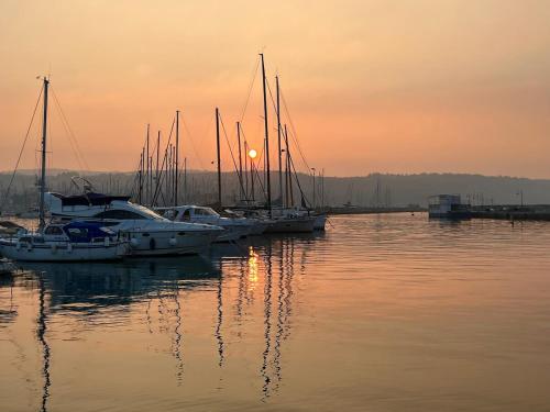 Studio Jagodje Izola in Jagodje