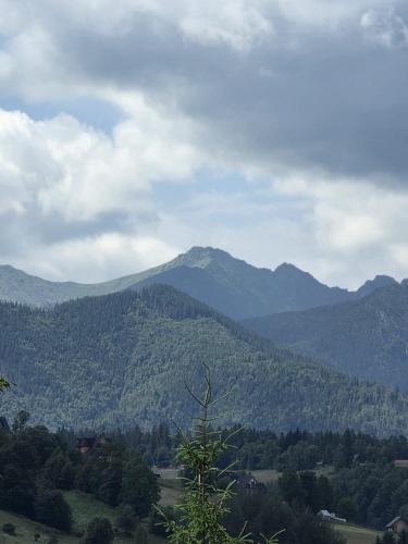 U Suchowiana - cisza i spokój z widokiem na Tatry, Zakopane (photo 4)