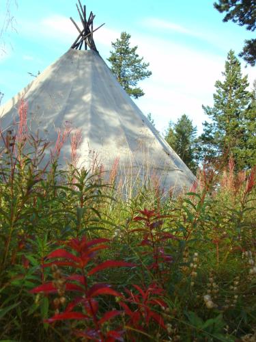 Reindeer Lodge Room Type - Tent