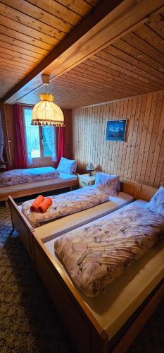 The Saxeten at alps in Saxeten