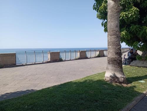 HABITATIO MALLORCa 4