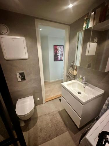 Exclusive Central-Home in Central Oslo- for five people, Oslo (foto 7)