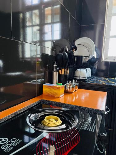 One bedroom apartment in Moshi town in Nkunjila