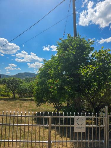 Vikendica ENSO Roge Serbia in Rasna