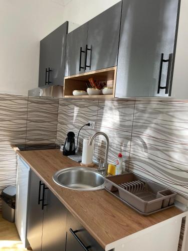 Apartman Maki 1 in Sombor