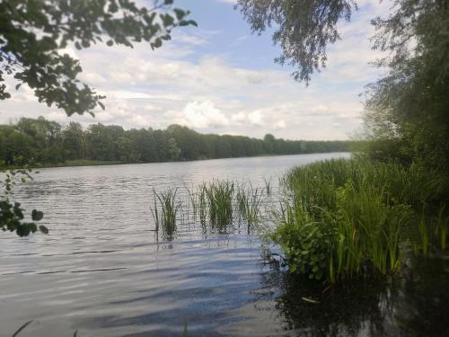 Widok