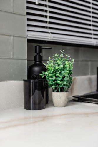 Dana's Perch - Modern Studio Apartment 1 near Međunarodna zračna luka Argyle 