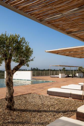 Herdade do Carregoucal in Odemira