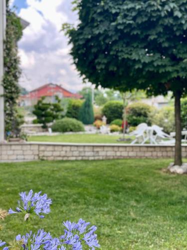 B&B Eremes - image 12