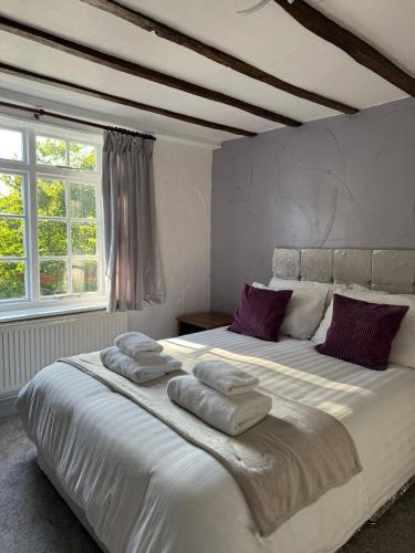 Vesna Affordable comfort in Newtown