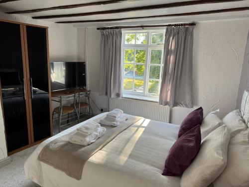 Vesna Affordable comfort in Newtown