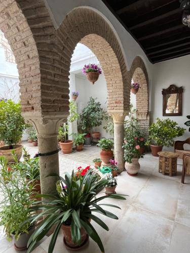 El patio de Regina, Córdoba