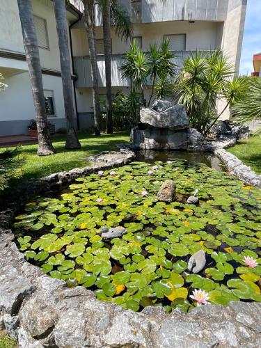 Hotel Toscano - Tarsia