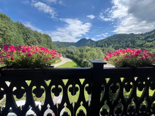 Willa FOLK Pieniny