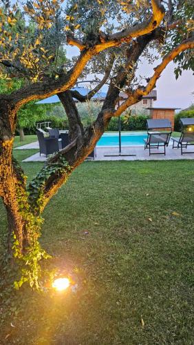 Bed & Breakfast Bure Alto, San Pietro in Cariano (Foto 2)