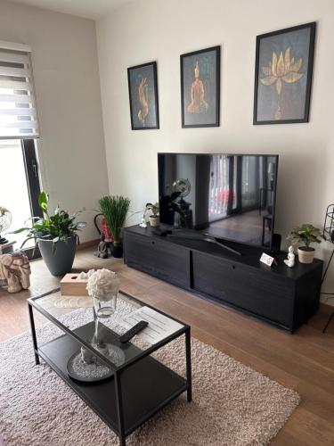 BnB Antwerp Centrum, Antwerp (photo 9)