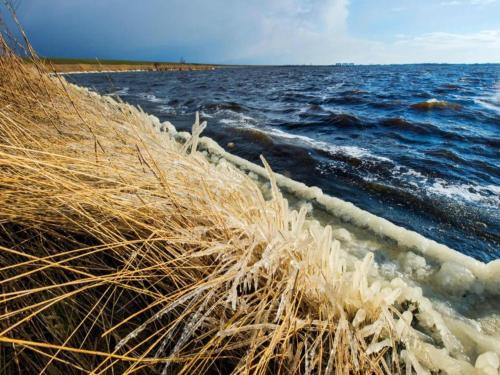 Surrounding environment, Tiny House in Anjum by Scenic Lake in Oostmahorn