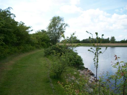 Tangloppen Camping & Cottages - image 14