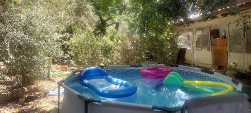 בריאה in Neve Shalom