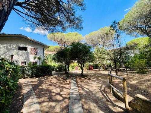 المنظر الخارجي, Il canto della pineta in جروسيتو