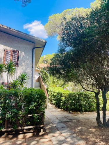 المنظر الخارجي, Il canto della pineta in جروسيتو