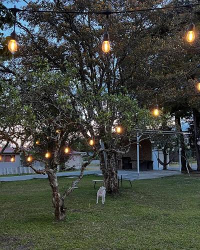 MOMA Guest House en Alto Boquete in Alto Boquete