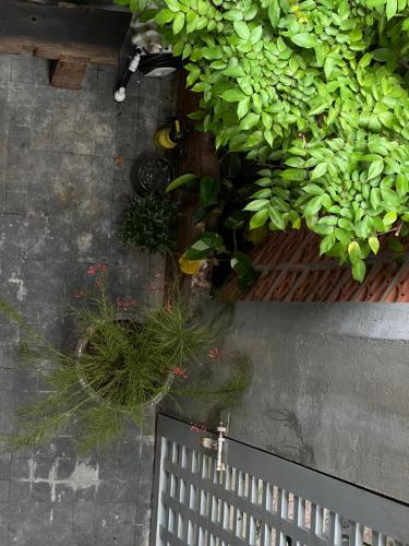 PREEZE boutique stay - 정원