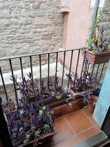 Ca la Fiona in Monistrol De Montserrat
