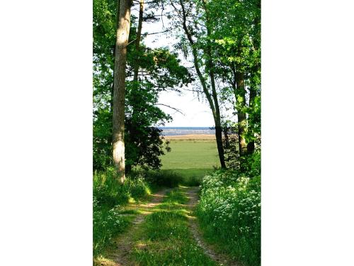 Bodelssons by the Sea - image 5