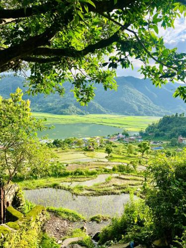 Fewa View Cottage Yoga Retreat Pokhara in Sarangkot