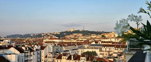 PLEIN SUD Terrasse Garage Netflix Climatisation, Lyon (photo 10)
