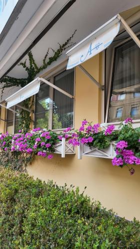 Hotel Aurbacher Hof GmbH - image 8