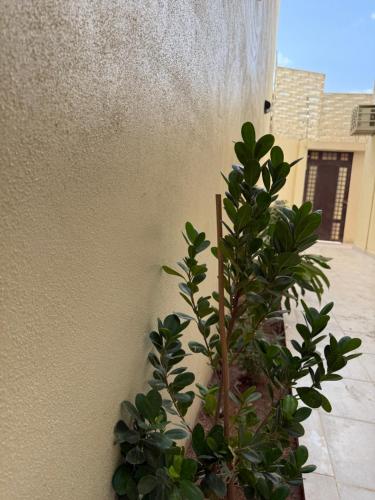 شقة الراحة والفخامة, Khamis Mushayt (fotografie 9)
