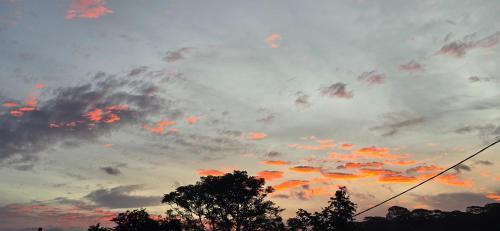 ทัศนียภาพ, Tahiti Kalihi Lodge in มาทาเยีย