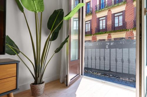 Two-Bedroom Apartment image 9