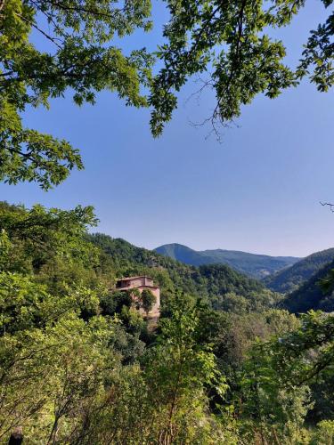 Vegan bed and breakfast Colle della luna