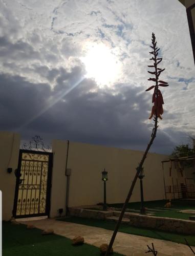 Garden, shaghayegh hostel in Seeb (Muscat)