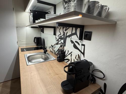 virtuve, Apartmán U Baziliky (Apartman U Baziliky) in Svati Kopečeka