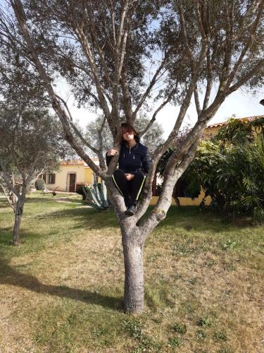 Agriturismo Campesi casale tra le vigne 2