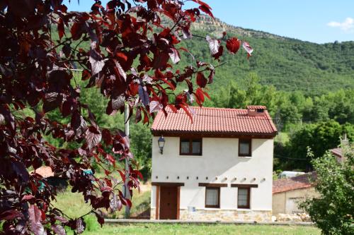 La Mira gîte à louer Espinosa de Cervera