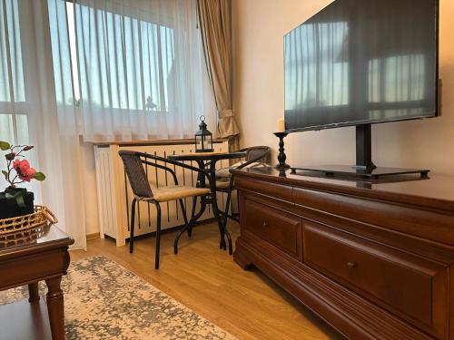 Studio PANORAMIC with Balcony and Parcul Unirii view - Apartment - Alba Iulia