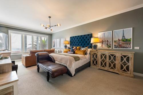 Fairy Tern in Rand Rifles