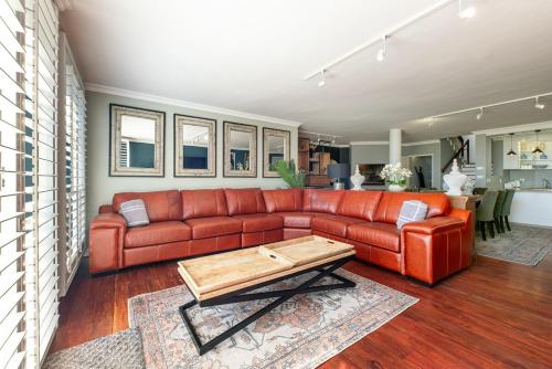 Fairy Tern in Rand Rifles