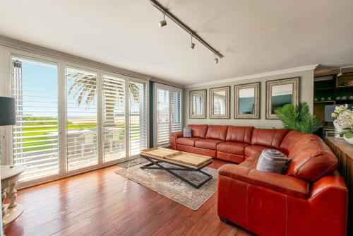 Fairy Tern in Rand Rifles