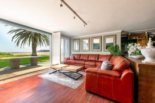 Fairy Tern in Rand Rifles