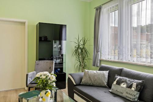 Ferienwohnung Burgblick - Apartment - Plaue