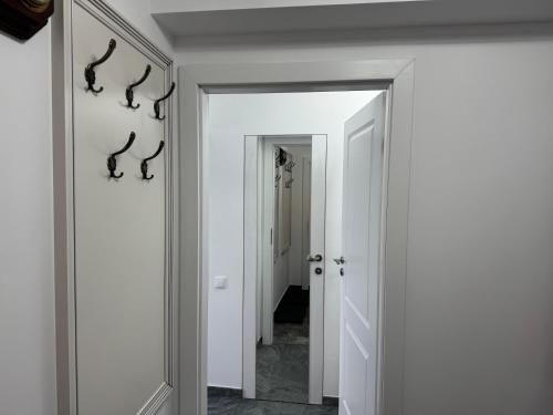 Frăția Corsarilor (Fratia Corsarilor) in Sulina