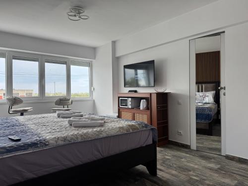 Frăția Corsarilor (Fratia Corsarilor) in Sulina